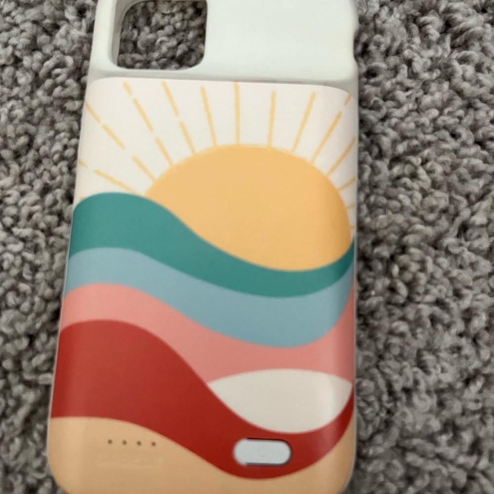 Casely case